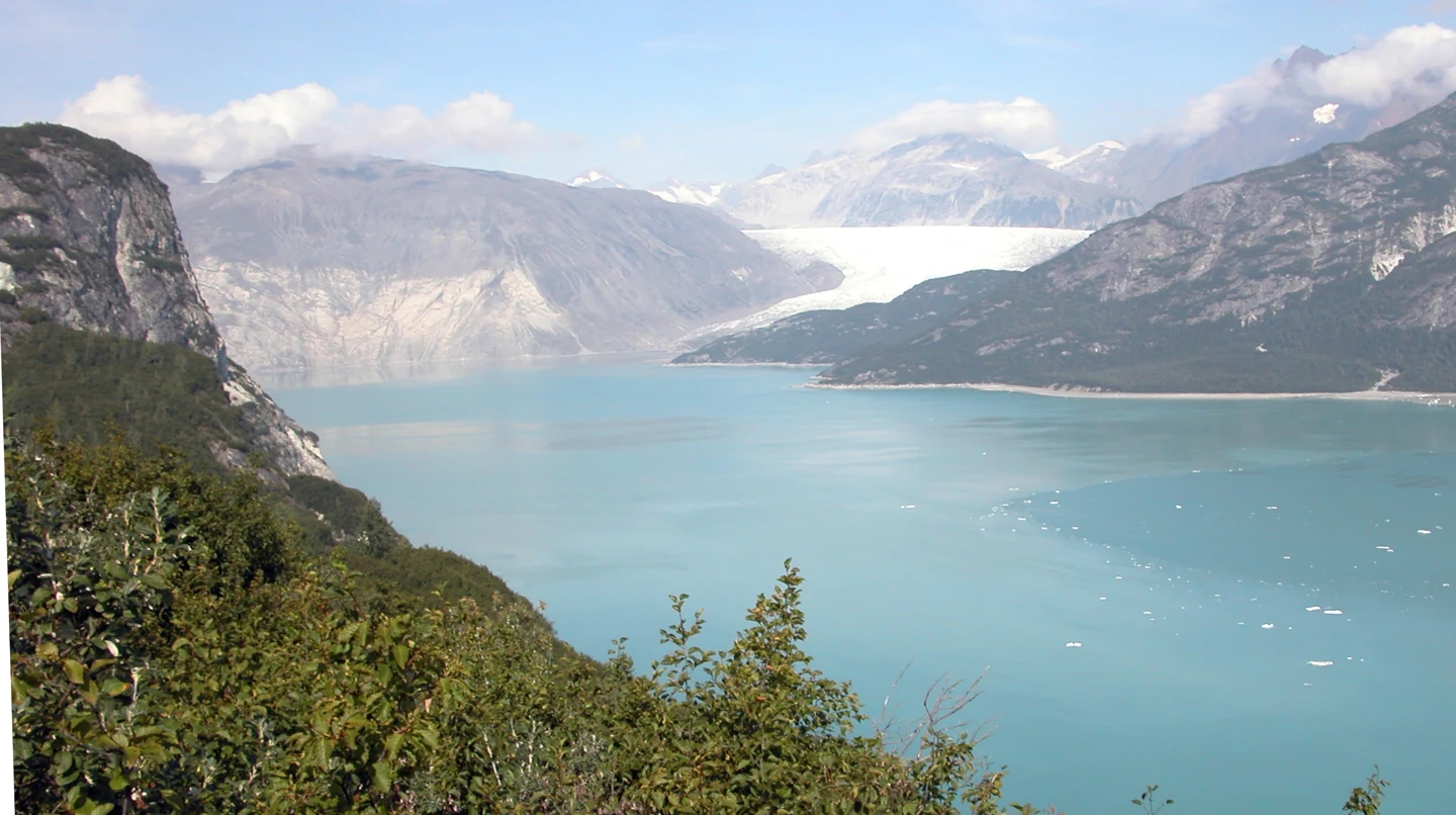 Muir Inlet and Riggs Glacier in Alaska in 2004