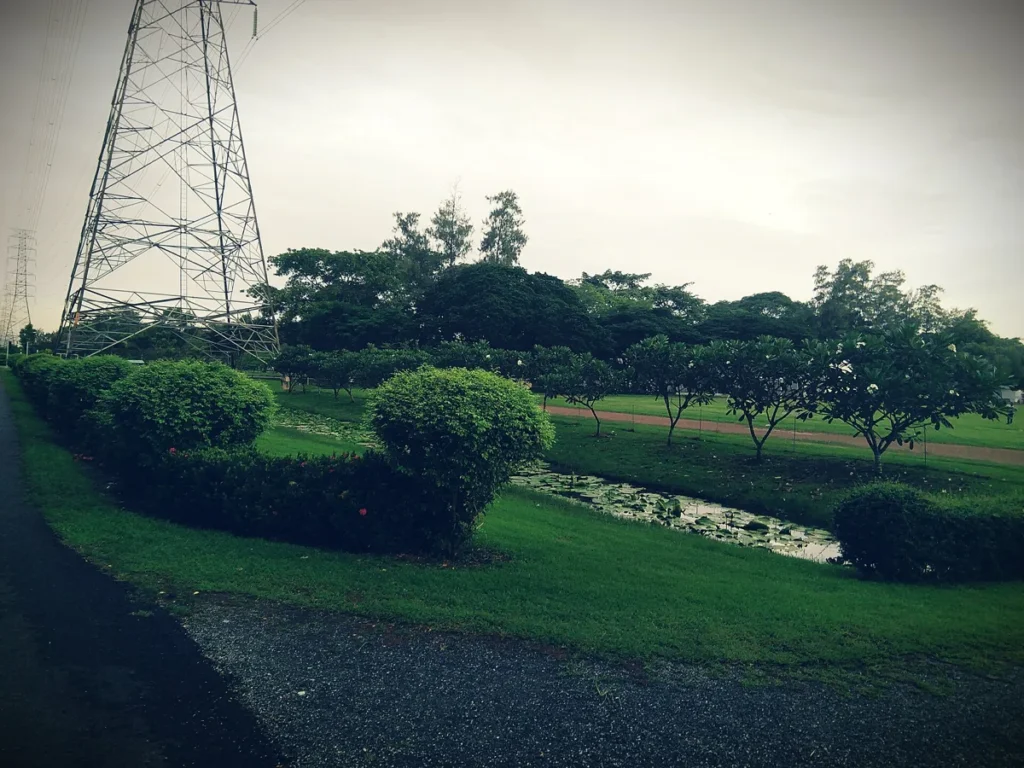 Electricity pylons and overhead lines beside trees at the Asian Institute of Technology in Thailand